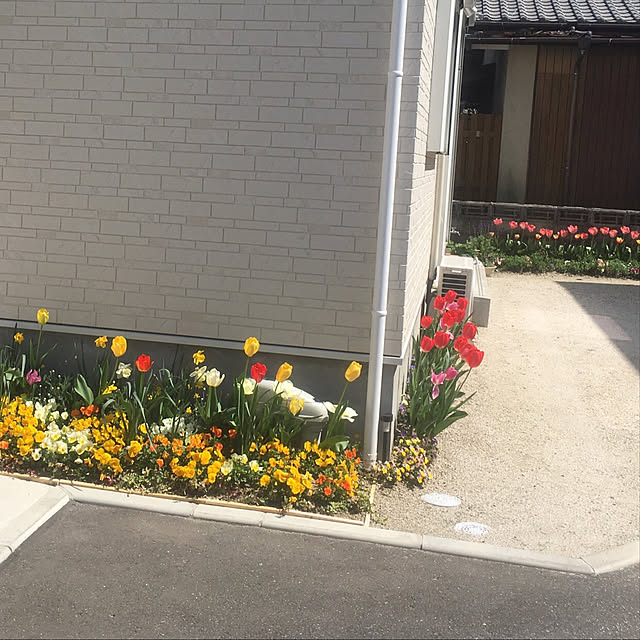 youfuさんの実例写真