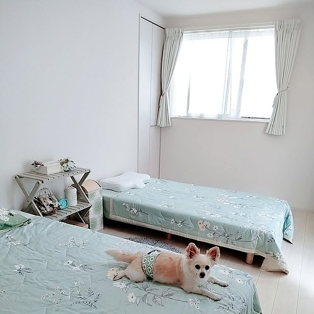PAOさんの部屋