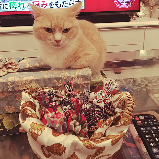 ayakona114さんの実例写真