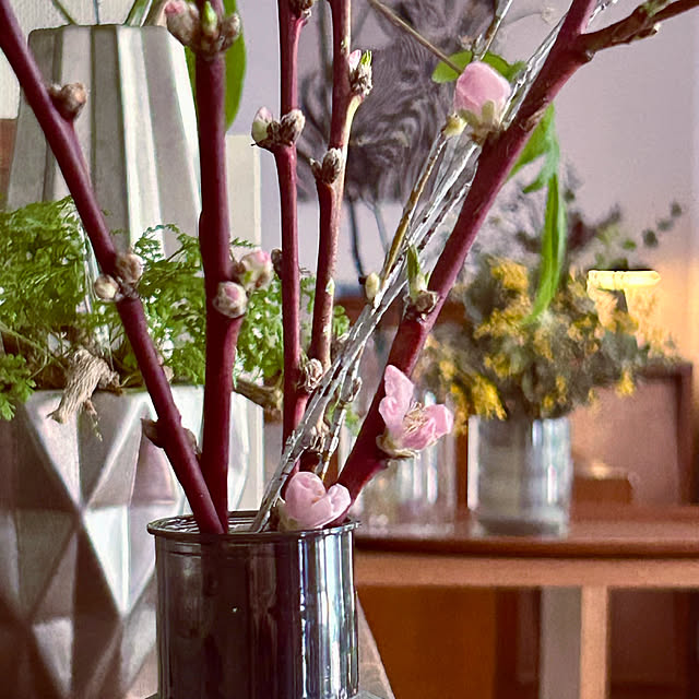 DAYONEさんの部屋