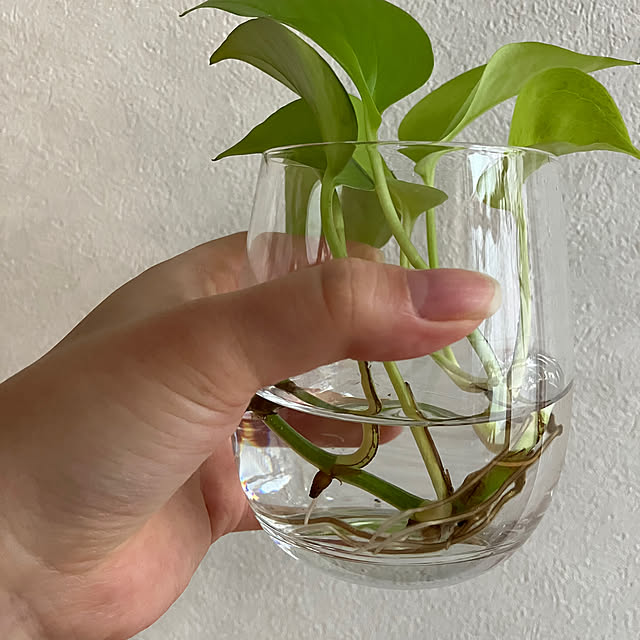 kiiroikumaさんの実例写真
