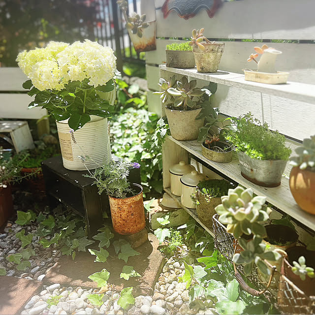 rookuさんの部屋