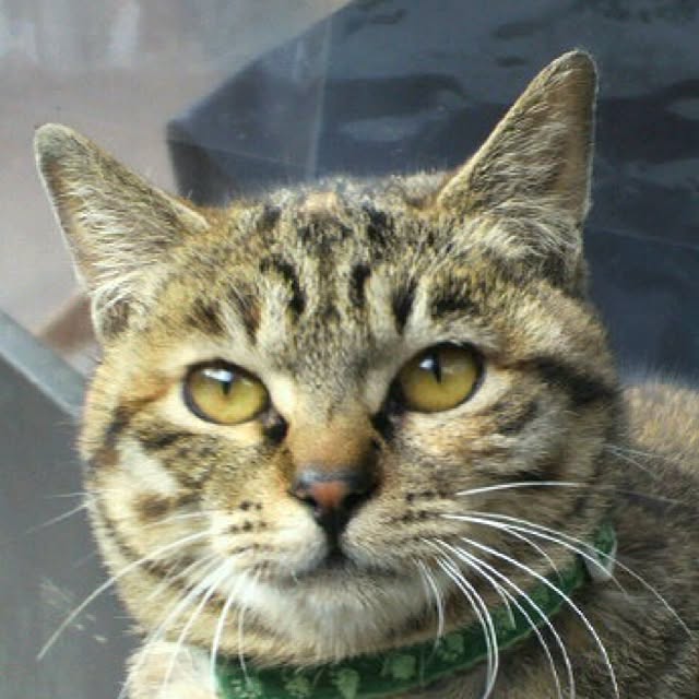 PrePolicさんの実例写真
