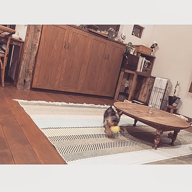 Ranさんの実例写真