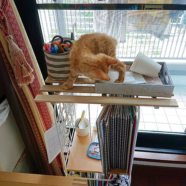 kikiさんの実例写真