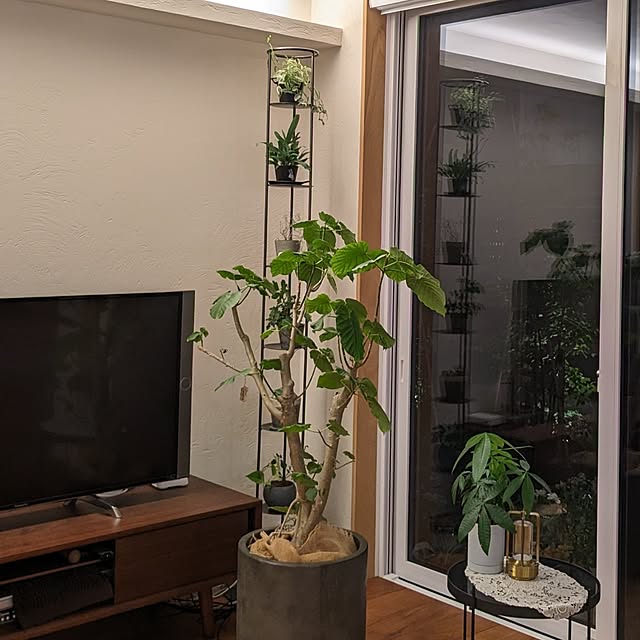 nolleyさんの部屋