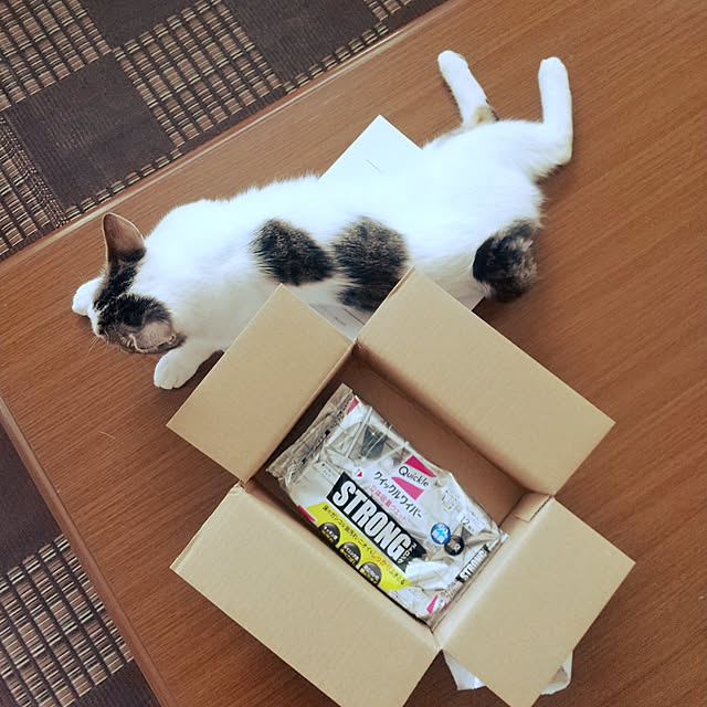 Mikaさんの実例写真