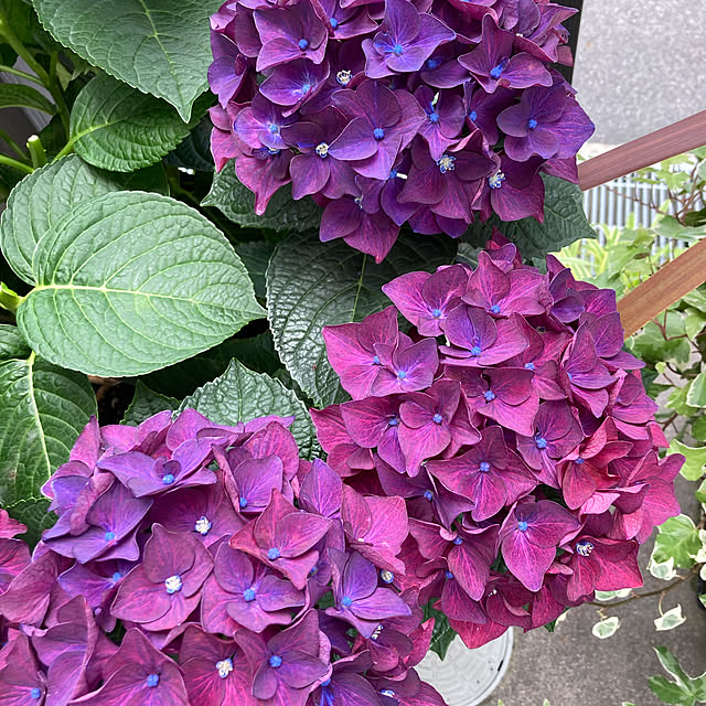 ORIONさんの実例写真