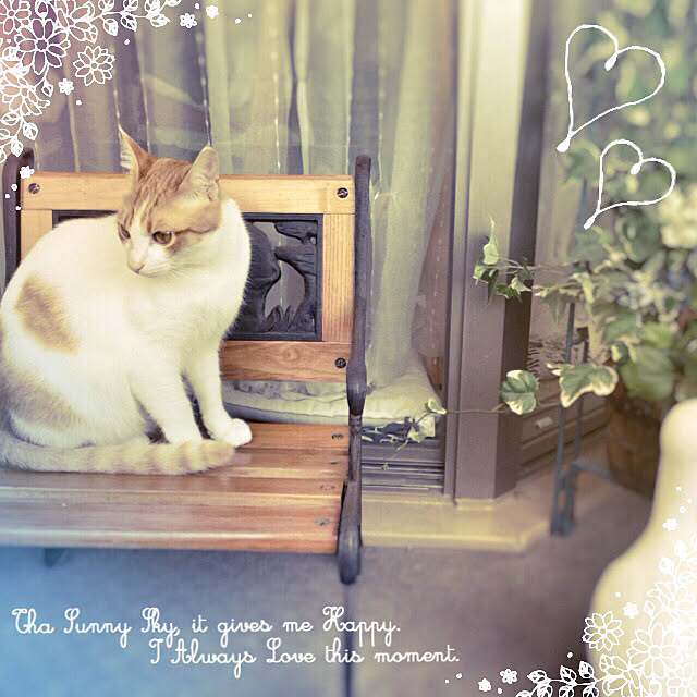 玄関/入り口/ねこのいる風景/ねこ部/猫のいる日常/フェイクグリーン♡...などのインテリア実例 - 2017-11-03 00:50:51