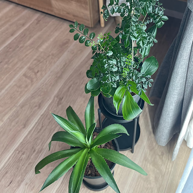 kurinokiさんの部屋