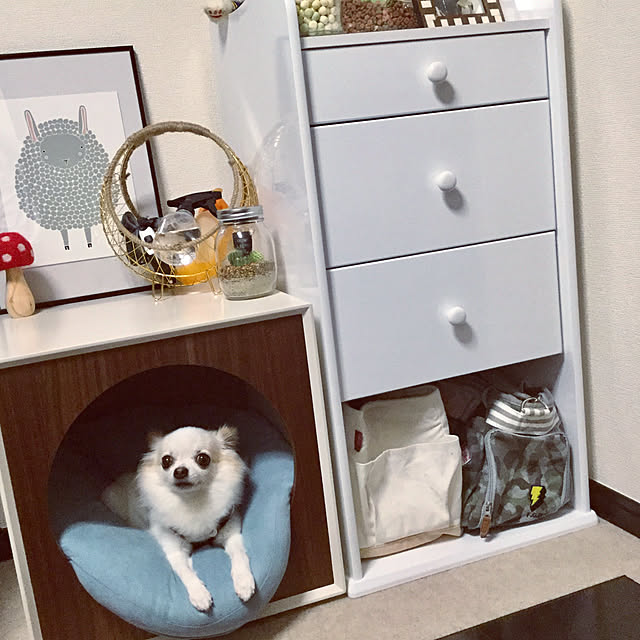 chapiさんの実例写真