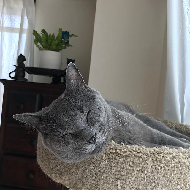 73さんの実例写真