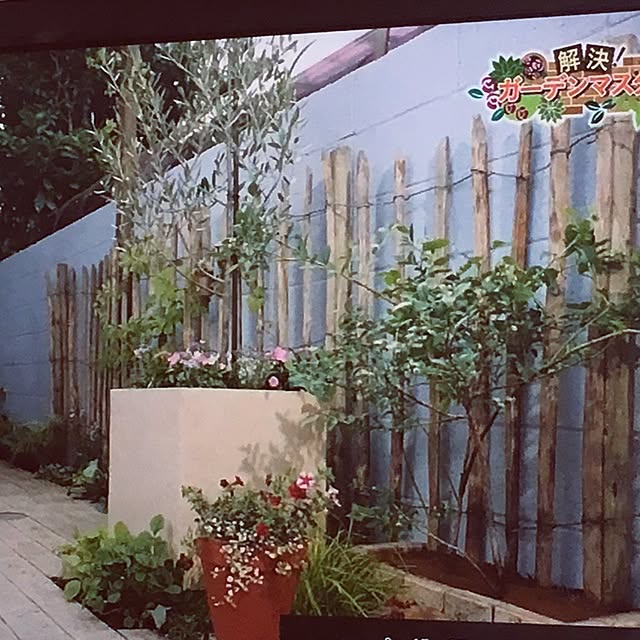 YUZUさんの実例写真