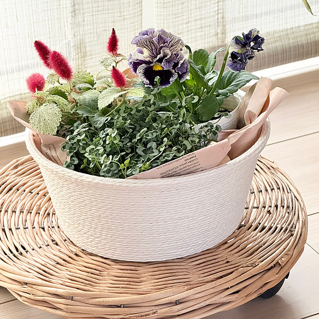 Chigusaさんの実例写真