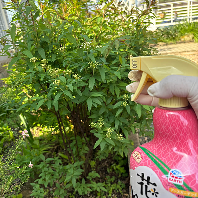 chIoeさんの部屋