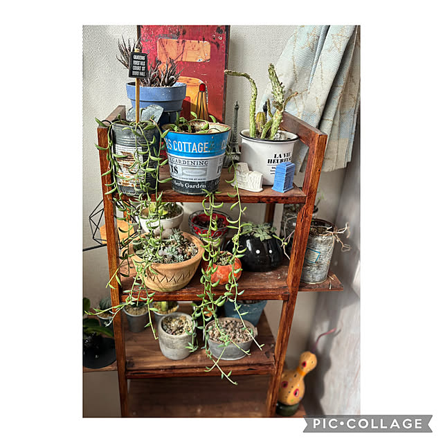 CoCo0617さんの部屋