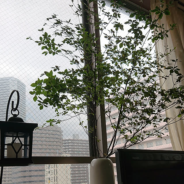 hi..ihさんの実例写真