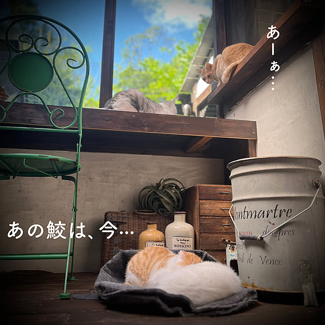 marusanさんの実例写真