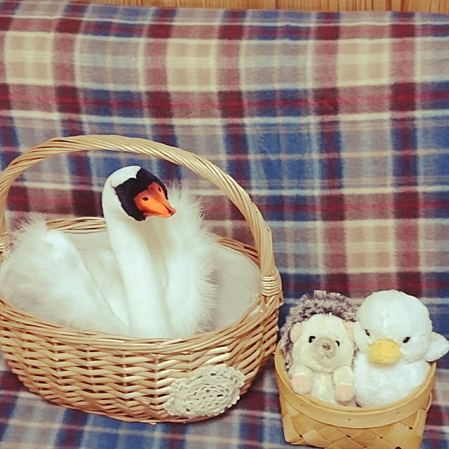 kogumaさんの実例写真