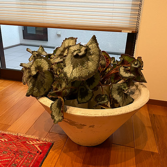 maruさんの実例写真