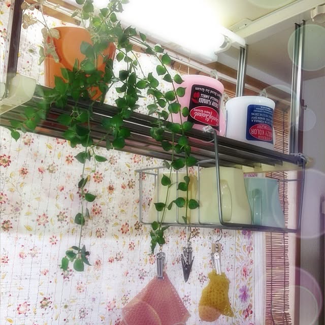 mi110tさんの実例写真