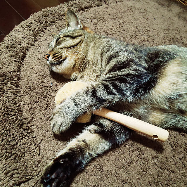 komugiさんの実例写真