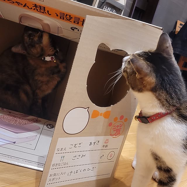 natuさんの部屋