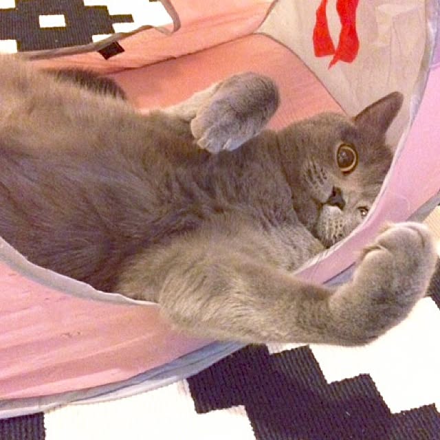 aさんの実例写真