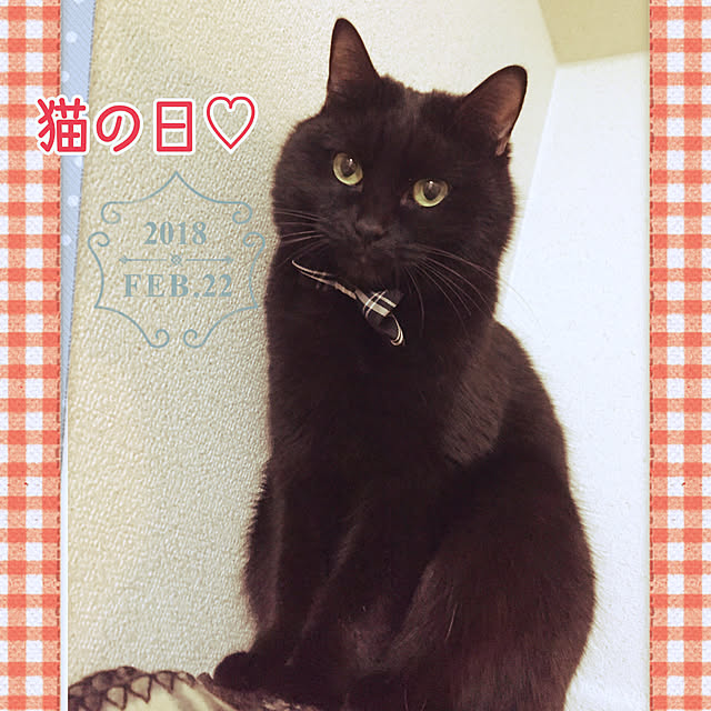soraさんの実例写真