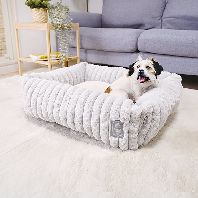 SUNROCK_in_Livingさんの実例写真