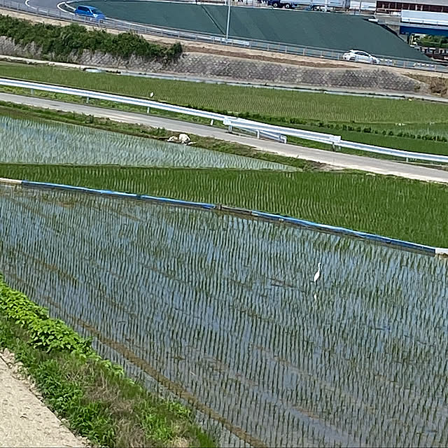 実例写真