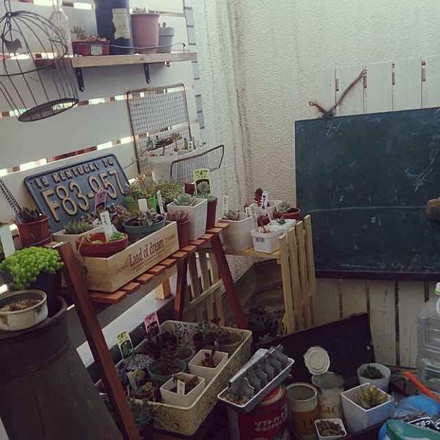 mtktr04さんの実例写真