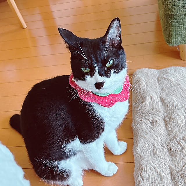 moolさんの部屋