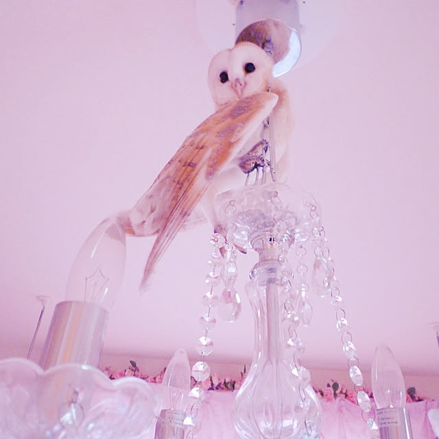 ARさんの実例写真