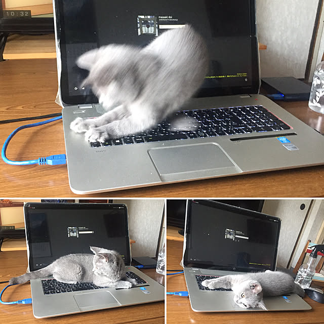 masaさんの実例写真