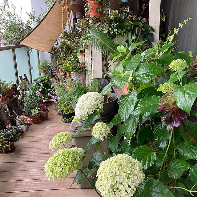 izumiさんの部屋