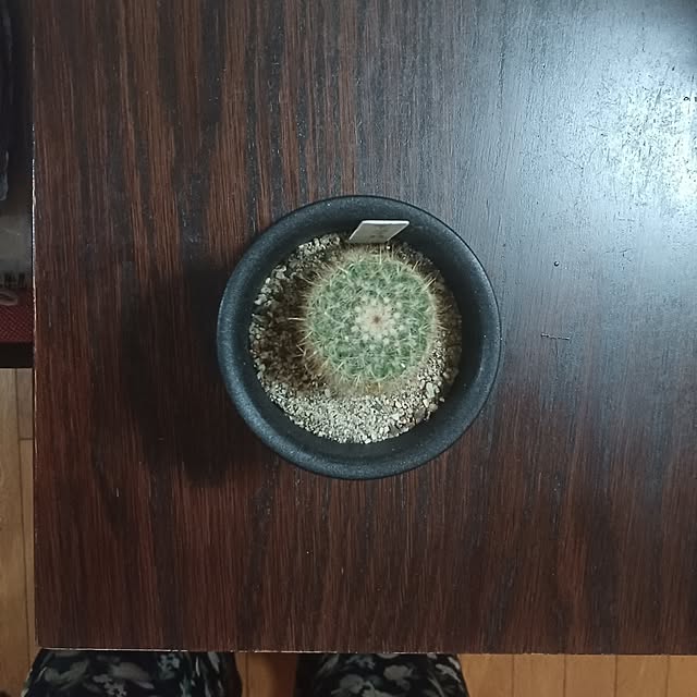 tuushiさんの実例写真