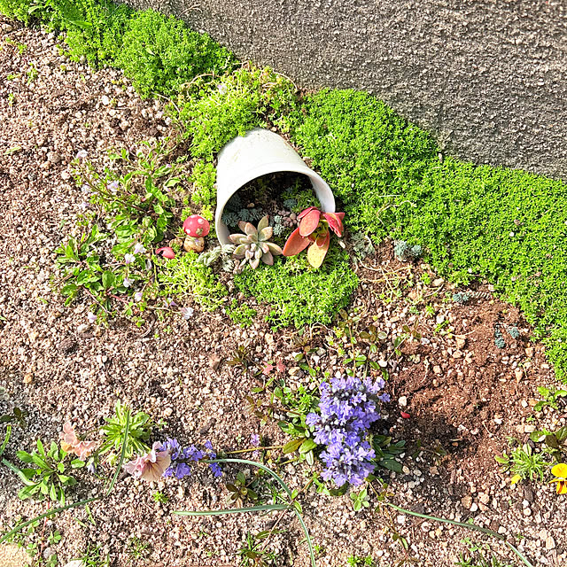 mayumiさんの部屋