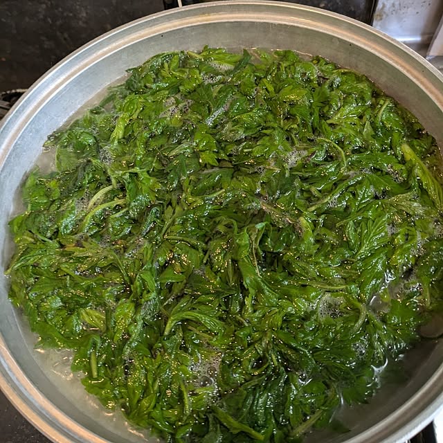toramamaさんの部屋