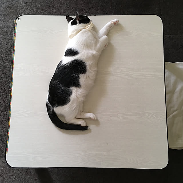 kokoさんの実例写真