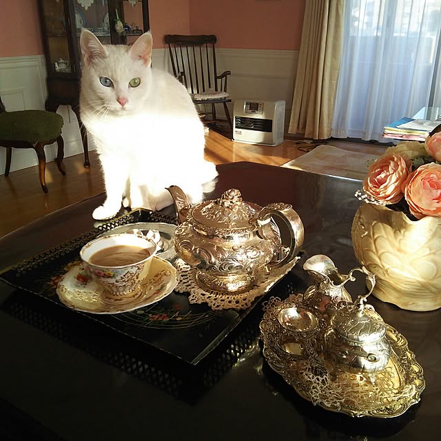 sakuraさんの実例写真