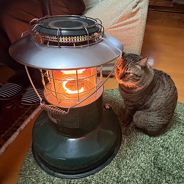 mikan161さんの実例写真