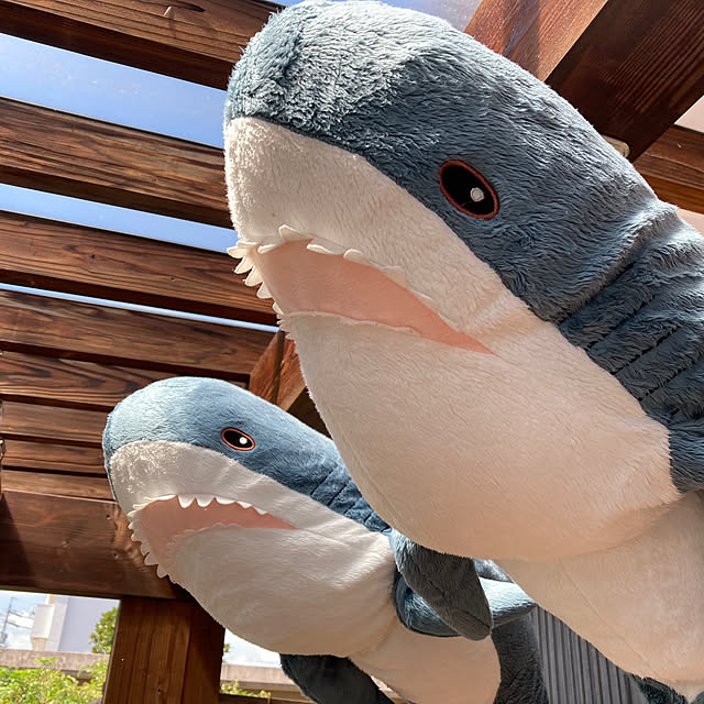J_smileさんの実例写真
