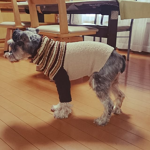 aomonさんの実例写真