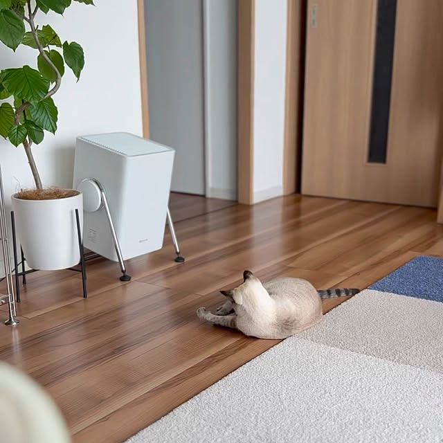 amさんの部屋