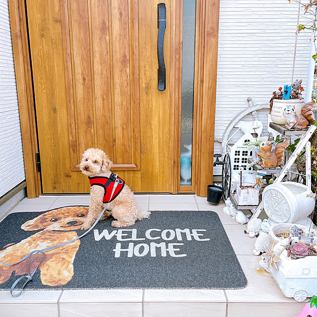 eriharuさんの部屋