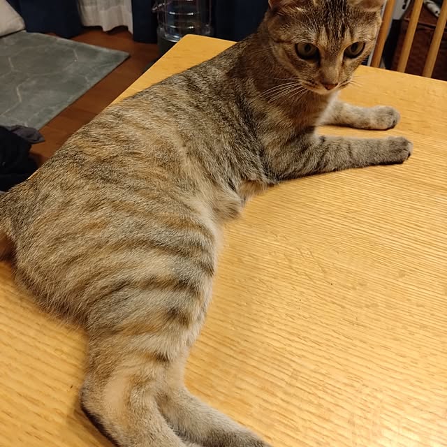 mamekoさんの実例写真