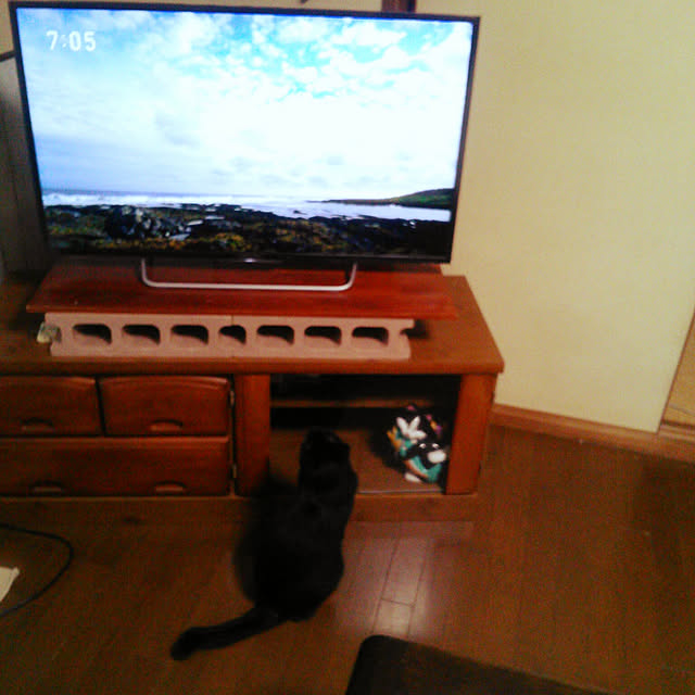 Tomopさんの実例写真