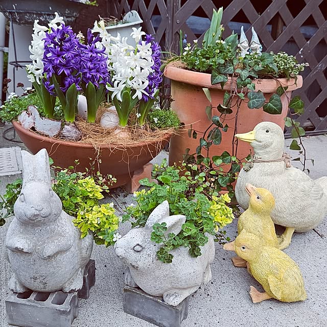 mocomocoさんの部屋