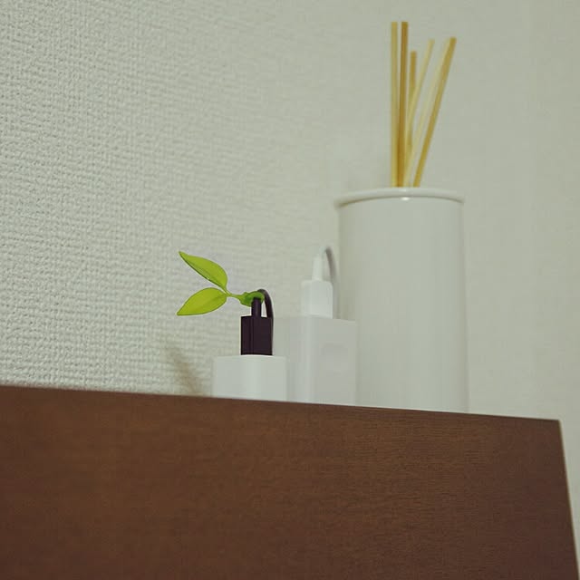 dattyo09さんの実例写真